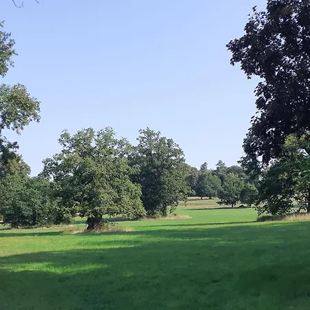 Hoher Vogelsberg Holiday home *