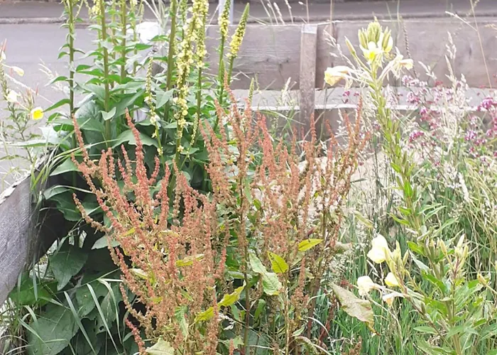 Hoher Vogelsberg * Herbstein